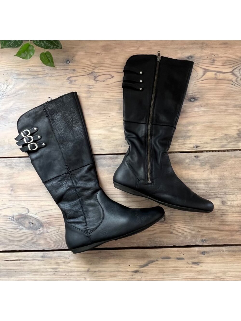 Born Luana Tall Black Leather Flat Riding Boots Womens 8 Buckle